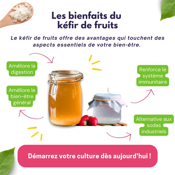 Activation des grains de Kéfir de fruit (protocole) – Kefir